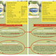 Illustration for article titled Hellmann's Are a Bunch of Giant, Eggless "Mayo"-Slinging Hypocrites